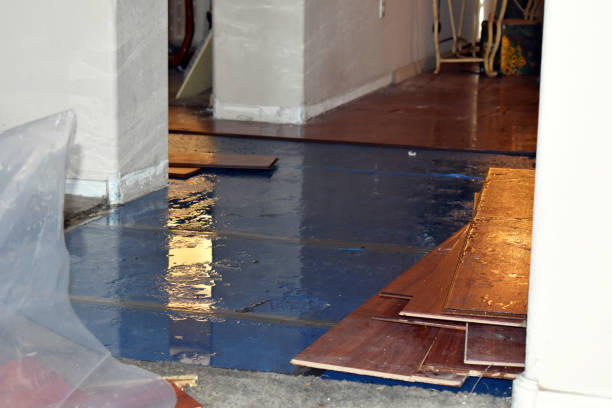 Professional Water Damage Restoration technician working in Ansted, WV